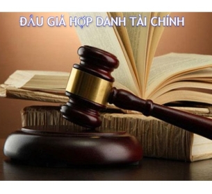 Tài Sản Kê Biên THA Là QSD Đất Và TSGL Với Đất Thuộc Thửa Đất Số 119, Tờ Bản Đồ Số 31, Tại Phường Trương Quang Trọng, Thành Phố Quảng Ngãi, Tỉnh Quảng Ngãi_Lần 6