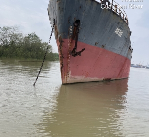 Tàu biển mang tên: Tàu An Hải là tài sản của Trường Cao đẳng Hàng hải I được phép thanh lý